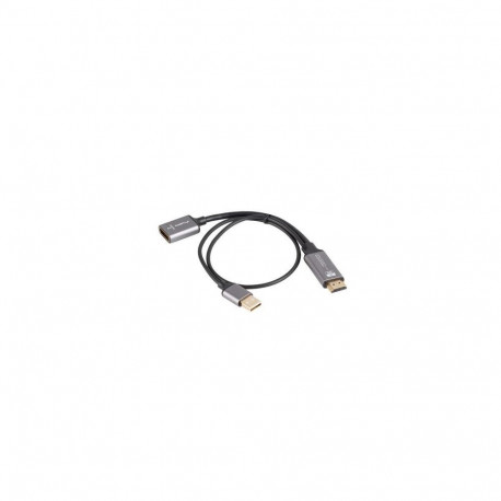 Lanberg AD-HD-DP-02 video cable adapter 0.2 m HDMI Type A (Standard) DisplayPort Silver
