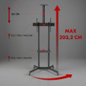 TV Stand, CART, Max 45 kg, MC-113 B