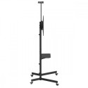 TV Stand, CART, Max 45 kg, MC-113 B