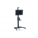TV Cart 1xLCD max. 70" max. 50kg