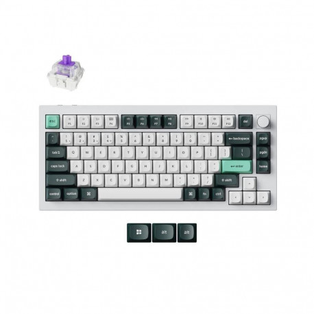 KEYBOARD WRL Q1 HE RGB/SHELL WHITE Q1H-P1 KEYCHRON
