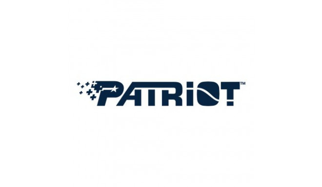PATRIOT P210 SSD 512GB SATA 3 Internal Solid State Drive 2.5inch