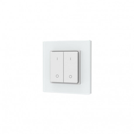 PF1-2(G) RF Remote Control, Single Color, 2 Zones