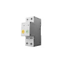 TUYA Smart Switch 2-Pole, Wi-Fi, 63A