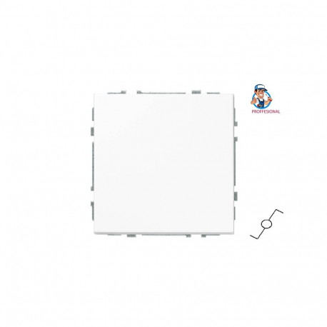 kahepoolne lüliti IP6.10-201-01.M/WM modern