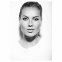 Elinchrom Reflektor 26cm 48? High Performance