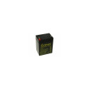LONG 12V 2,9AH LEAD-ACID BATTERY F1 (WP2,9-12TR)