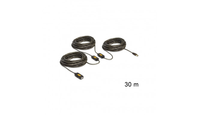 DeLOCK 30m, USB2.0 - USB2.0 USB-kaabel USB A must