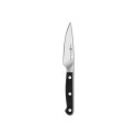 Zwilling Pro Fruit and Vegetable Knife - 10 cm