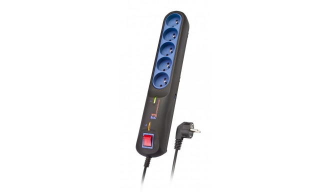 LESTAR 1966002822 Black, Grey 5 AC outlet(s) 2.5 m
