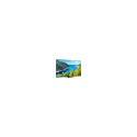 THOMSON 43" UHD GOOGLE SMART TV