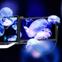 Mobile Pixels Duex Max DS 14,1  Bildschirmerweiterung