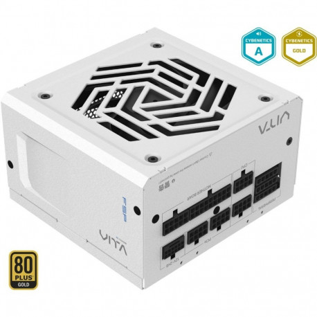 VITA GM 850W, valge