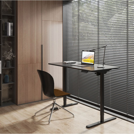 Desk ERGO LIGHT with 1 motor 120x60xH72,5-117,5cm, black