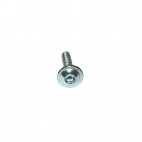 Kruvi 13x4,2mm torx