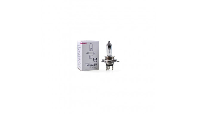H4, 12V,60/55W, P43T
