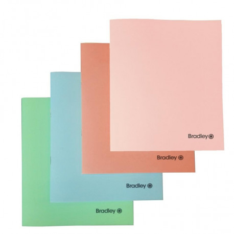 Bradley kaustik 36l jooneline, plastkaanega 4 värvi segu