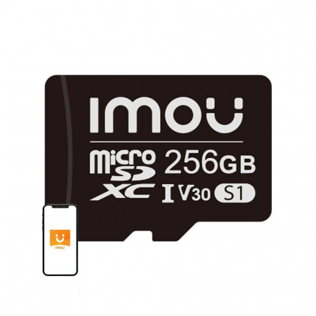 Memory card IMOU 256GB microSD (UHS-I, SDHC, 10/U3/V30, 95/38)