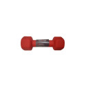 NEOPRENE HEXDUMBBELL YLDB04B 2KG