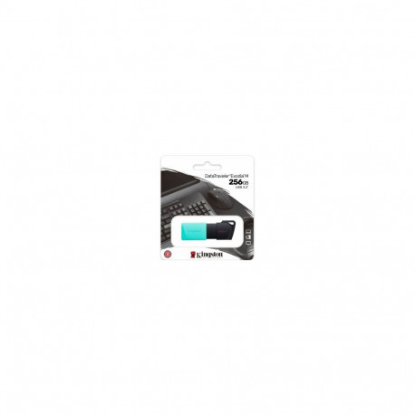 Kingston DataTraveller Exodia M 256GB Flash memory
