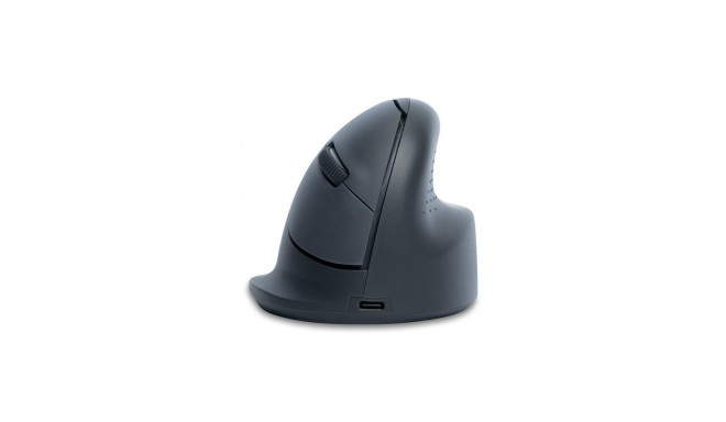 MOUSE USB OPTICAL WRL BASIC/R. GREY RGOHEBAMRWL R-GO TOOLS