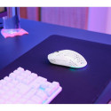 MOUSE USB OPTICAL WRL GXT929W/HELOX LIGHTW WHITE 25390 TRUST