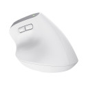 MOUSE USB OPTICAL WRL BAYO+/ERGONOMIC WHT 25399 TRUST