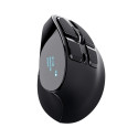 MOUSE USB OPTICAL ERGONOMIC/VOXX 23731 TRUST