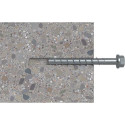 Fischer 536878 screw/bolt 150 mm 10 pc(s)