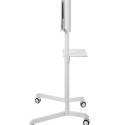 NS-M1250 WHITE floor stand 37-70'' 70KG 200x200-600x400