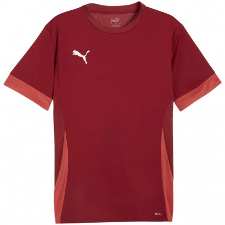 Puma meeste särk teamGoal Matchday Jersey 705747 09 S, bordopunane