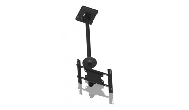 MB PUBLIC CEILINGMOUNT MEDIUM SINGLE TUV