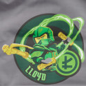 LEGO NINJAGO Sussikott Elemental Master of Energy