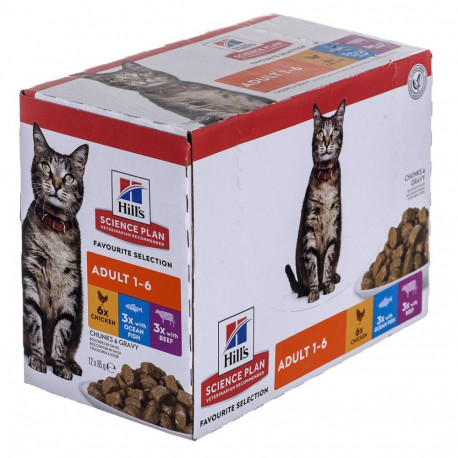 HILL'S täiskasvanud kasside multipakk Classic – portsjonkotid 12×85g