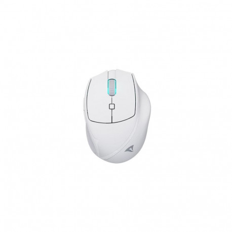 Sharkoon OfficePal M25W mouse Gaming Right-hand RF Wireless + USB Type-C Optical 4000 DPI