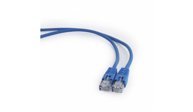 Blue Patch cord cat. 5E molded strain relief 50u" plugs, 2 meters