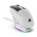 Sharkoon Mouse Shark SGM50W optiline 6-nupuline 6400 DPI valge