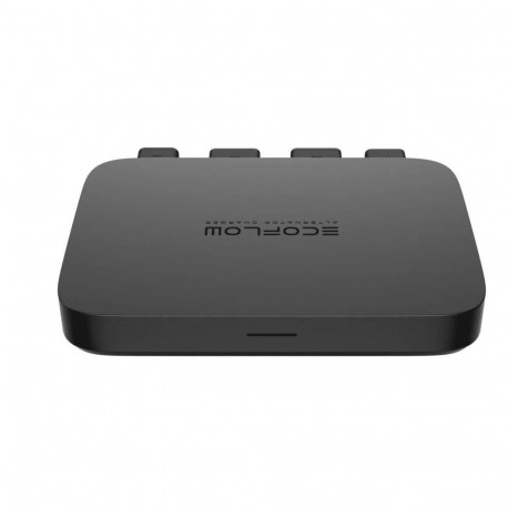 Ecoflow alternaatorilaadija EU