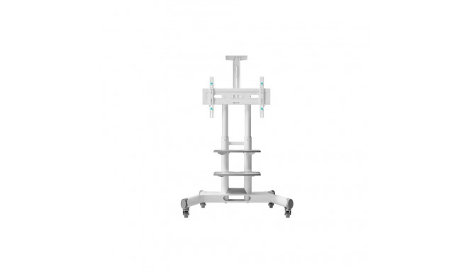 TV SET ACC MOBILE STAND/40-70"/WHITE TS1552-W ONKRON
