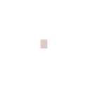 Shiseido Synchro Skin Invisible Silk Loose (6ml) (Radiant)
