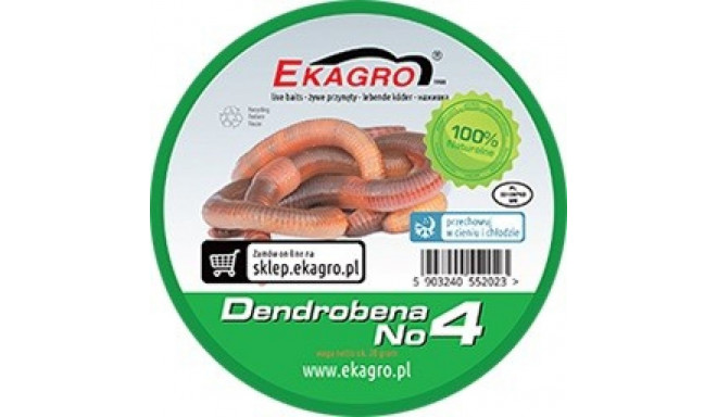 Earthworms Ekagro DENDROBENA nr4