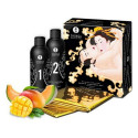 Suur lõbukomplekt Shunga SH7702 (2 pcs)