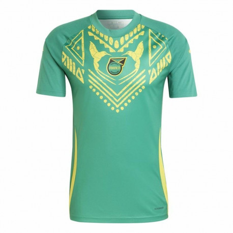 Jalgpalli T-särk Adidas Jamaica 2024 Pre Match Roheline - L