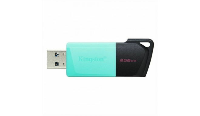 USB-pulk Kingston DTXM/256GB Must 256 GB