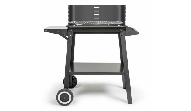 Kaasaskantav Barbeque-grill Livoo Roostevaba teras