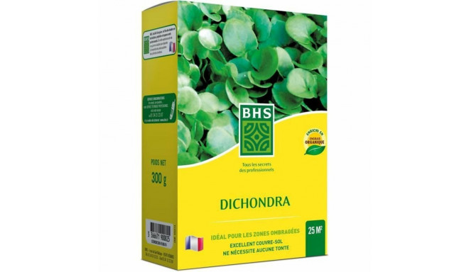 Seemned BHS Dichondra