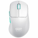 Wireless Mouse Cherry