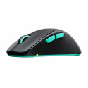 Wireless Mouse Cherry