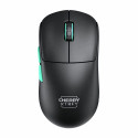 Wireless Mouse Cherry