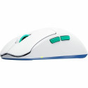 Wireless Mouse Cherry
